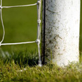 Motherwell introduce a third arrival this week - Emmanuel Longelo